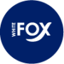 fox fox